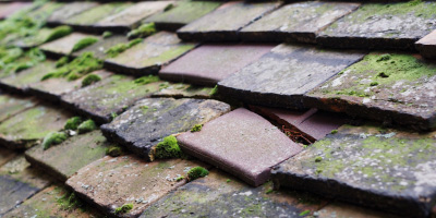Halton roof repair costs